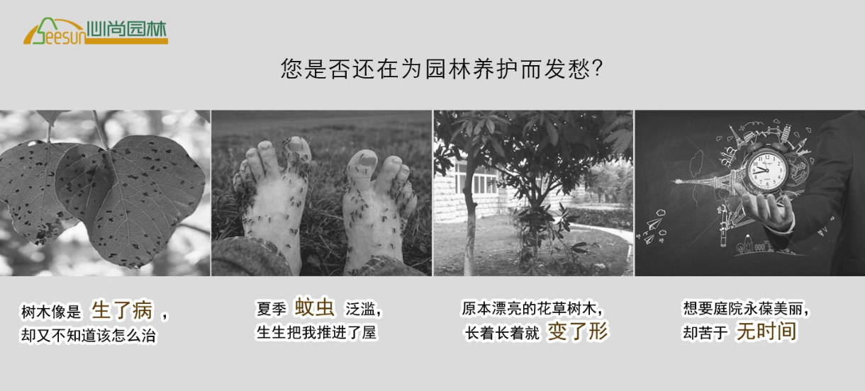 首页- 南宫NG28国际集团官方网站
