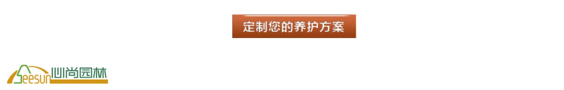 首页- 南宫NG28国际集团官方网站
